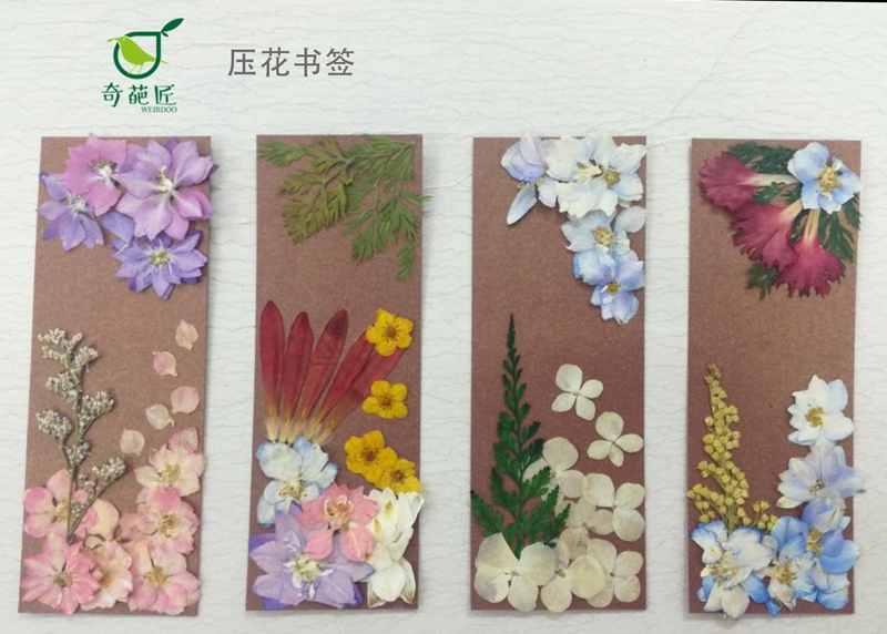 要闻推荐