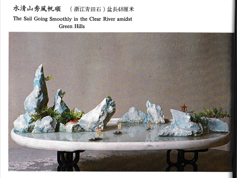 董叔瑜山石盆景 (5).jpg