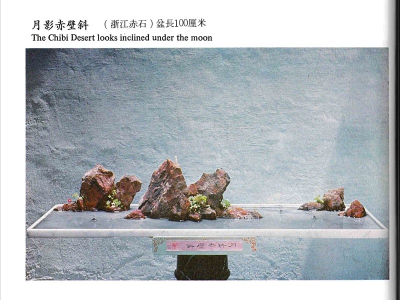 董叔瑜山石盆景 (8).jpg