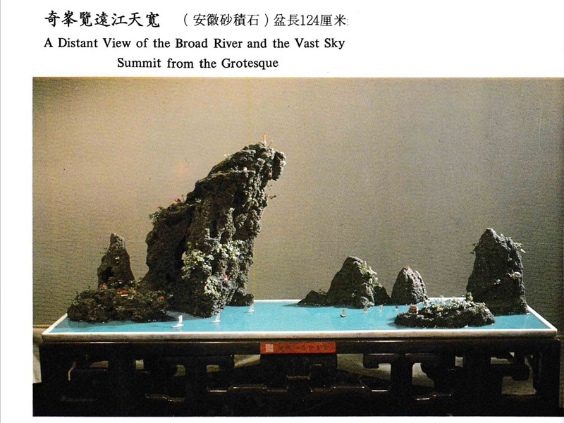 董叔瑜山石盆景.jpg