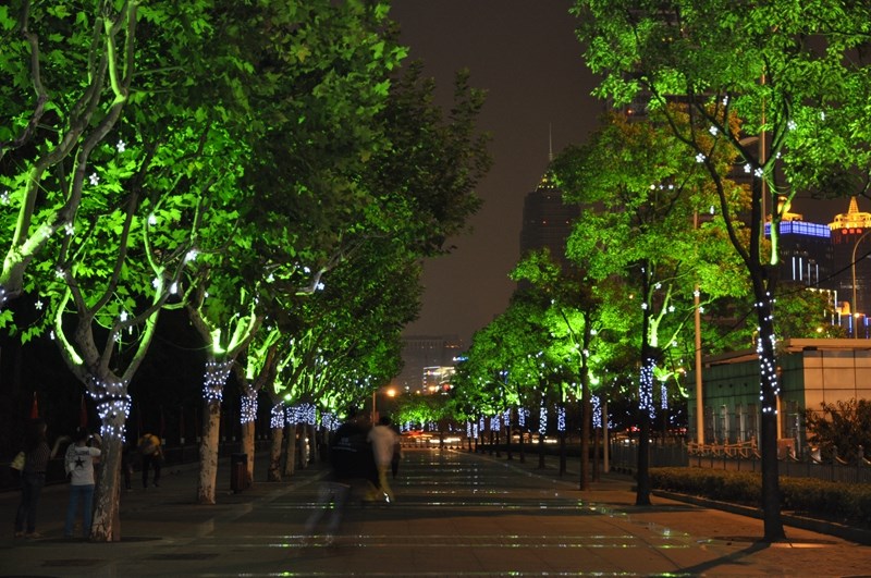 图2，景观灯与行道树的配置.jpg