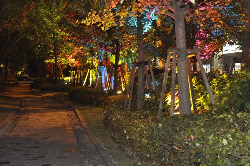图1,景观灯与植物群落的配置.jpg 图1,景观灯与植物群落的配置.jpg