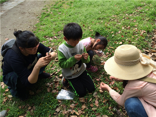 8寻野花野草.jpg 8寻野花野草.jpg