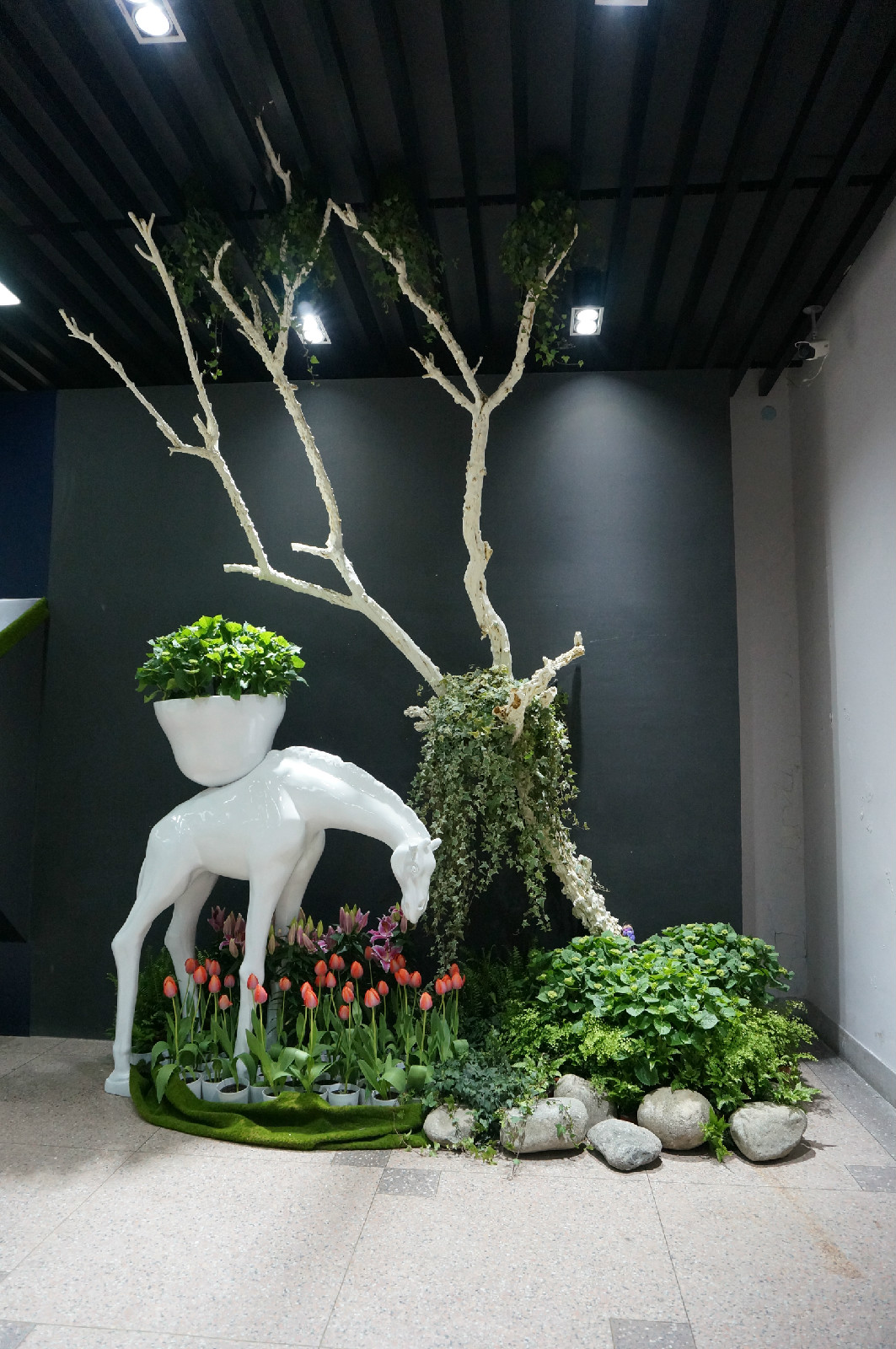 种业DSC04065.jpg