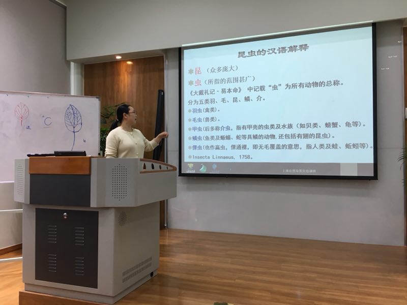 郭郭老师昆虫课.jpg 郭郭老师昆虫课.jpg