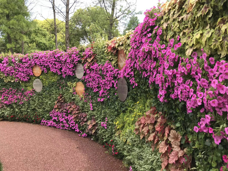 温馨花园板块4.jpg