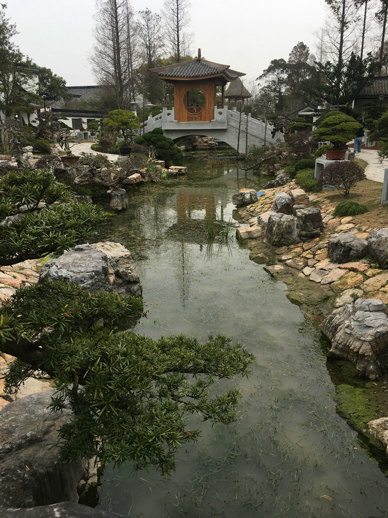 整改前 (3).jpg