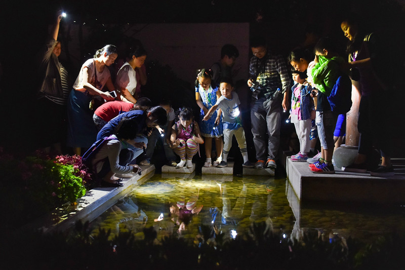 观察水中的生物 蓝风摄.jpg