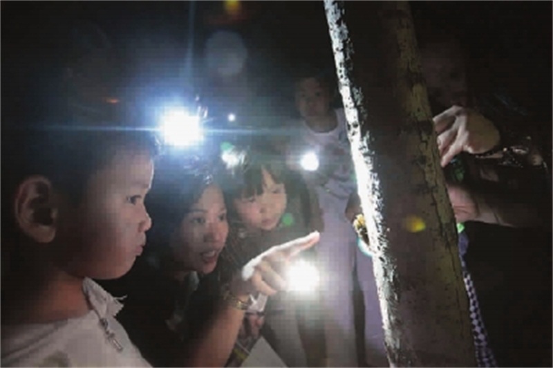 新民晚报 暗访夜精灵.jpg 新民晚报 暗访夜精灵.jpg