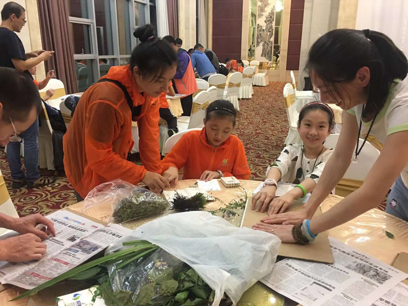 压制标本 (2).jpg