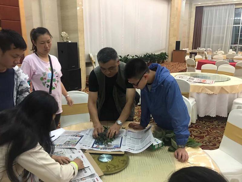 压制标本 (3).jpg