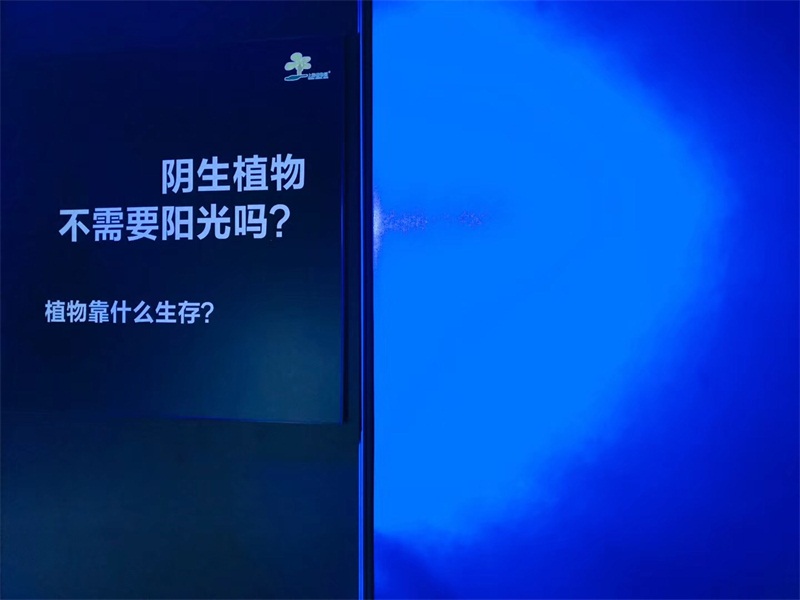 图3:光影中的20问.jpg
