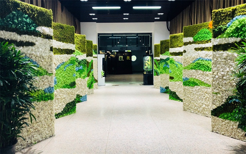 图7 苔藓墙B面.jpg