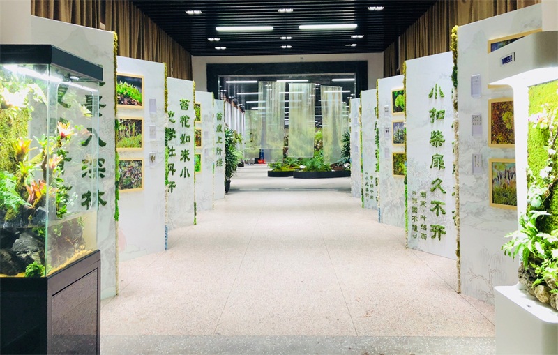 图7 苔藓墙A面.jpg