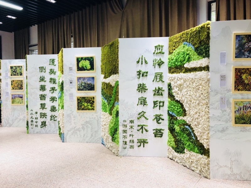 图7 苔藓诗词.jpg