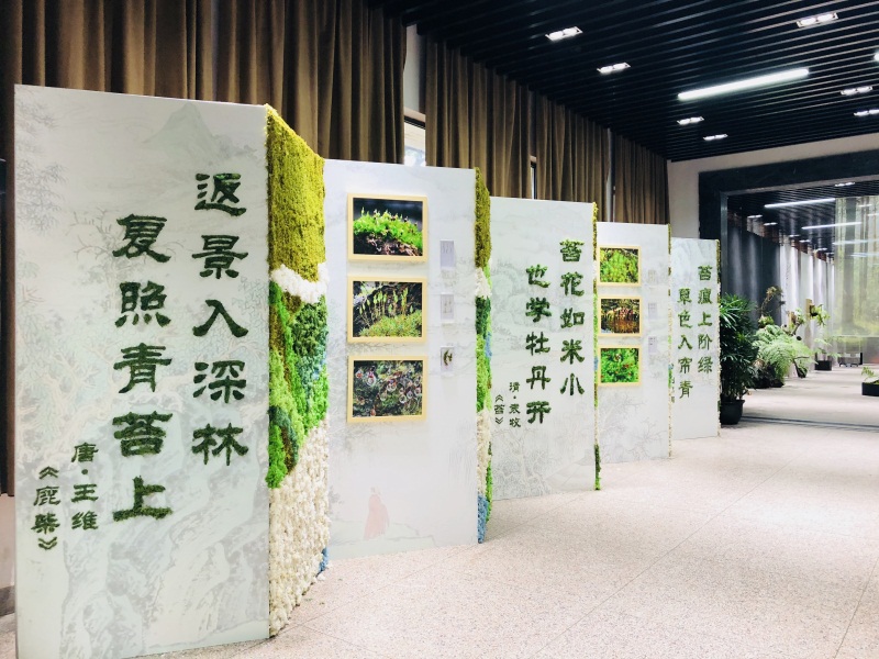 图7 苔藓诗词2.jpg
