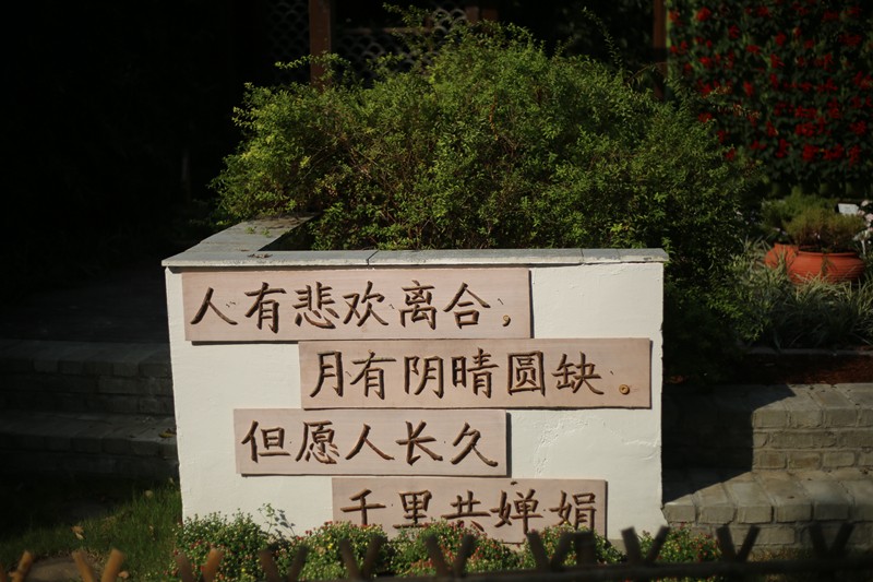 诗句.JPG