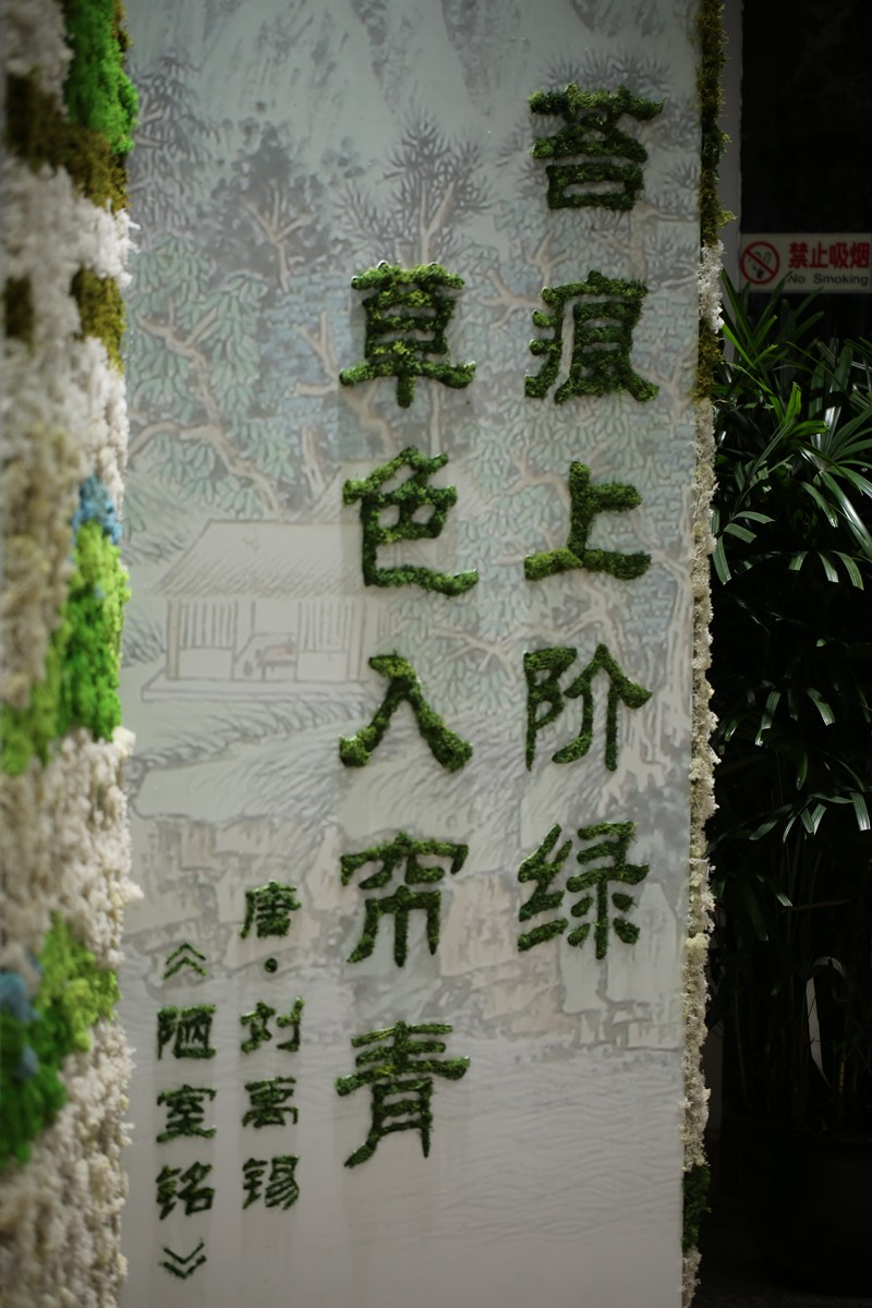 阴生植物展6.JPG