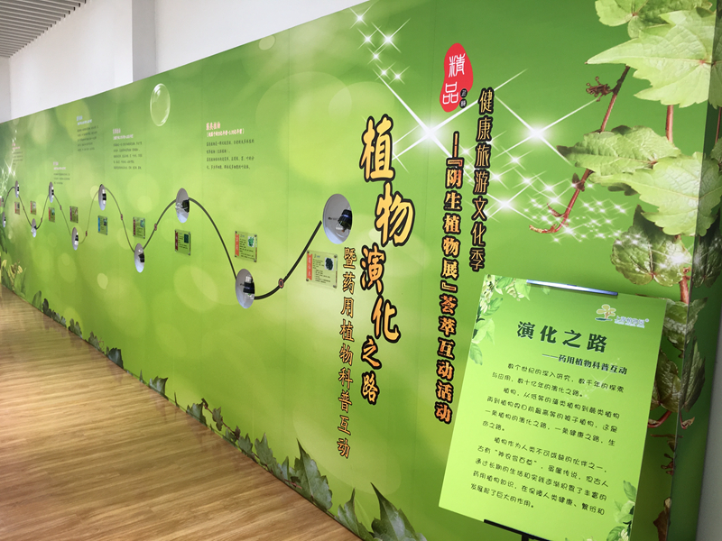 精品上植丨健康旅游文化季之"阴生植物展"荟萃互动活动开始啦