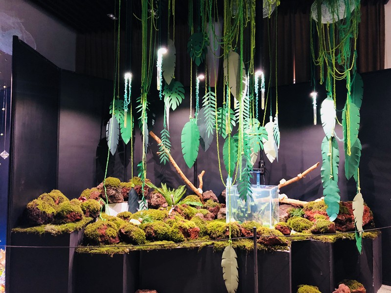 2018阴生植物展菌藻主题亮点纷呈