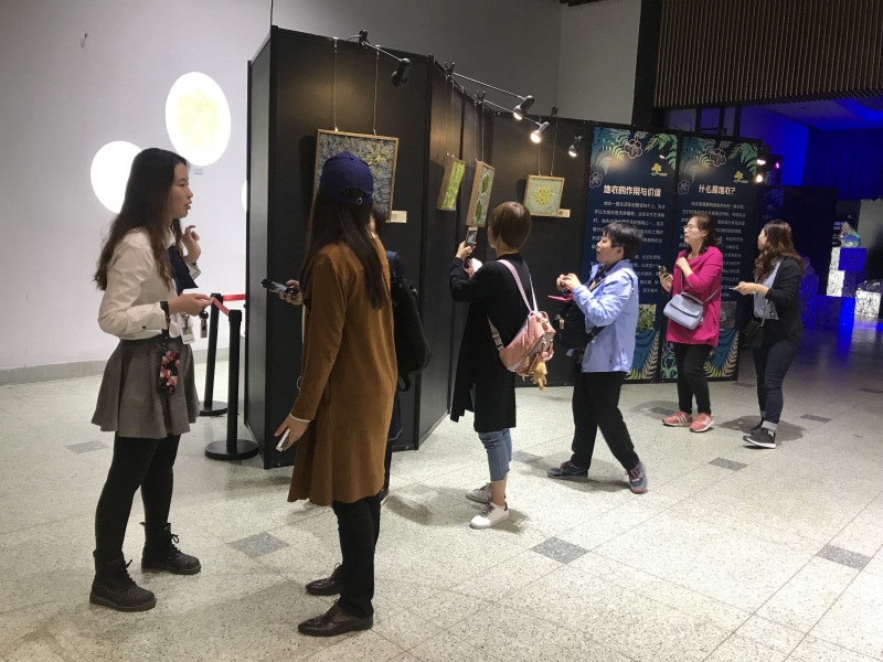 图3：参观2018上海植物园秋季花展阴生植物展.jpg