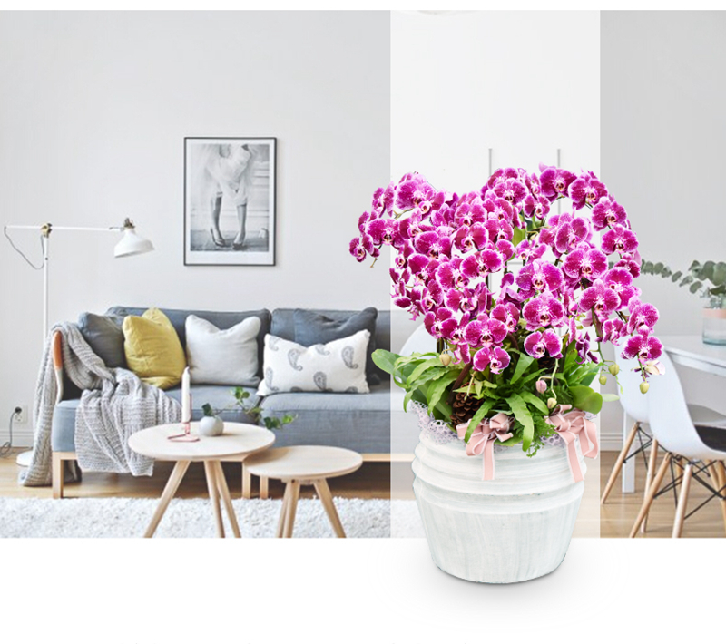 O1CN012FPjbY23xyrzSSW8l_!!3699337323.jpg O1CN012FPjbY23xyrzSSW8l_!!3699337323.jpg