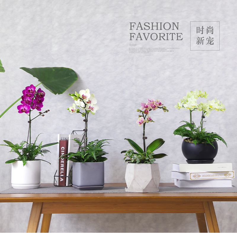 TB2io5laPuhSKJjSspaXXXFgFXa_!!1872855546.jpg TB2io5laPuhSKJjSspaXXXFgFXa_!!1872855546.jpg