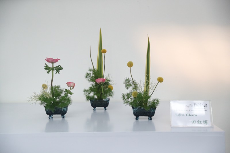 展览作品-小原流.JPG 展览作品-小原流.JPG