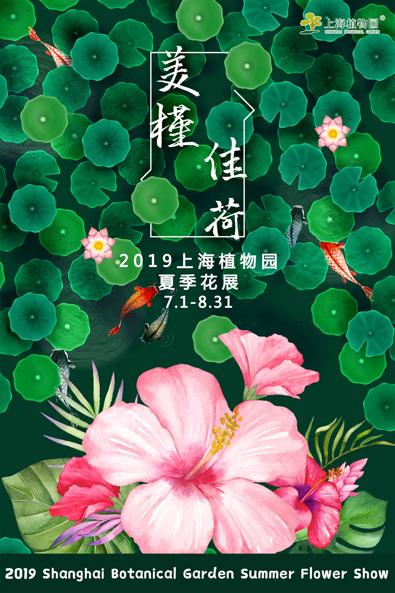 美槿佳荷_主画面_看图王.jpg 美槿佳荷_主画面_看图王.jpg