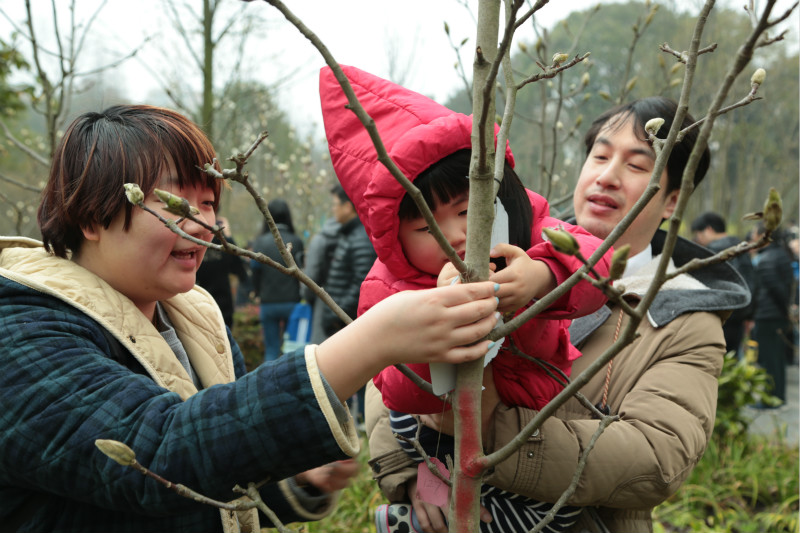 市民在上海植物园3.12植树活动中认养树木1.jpg