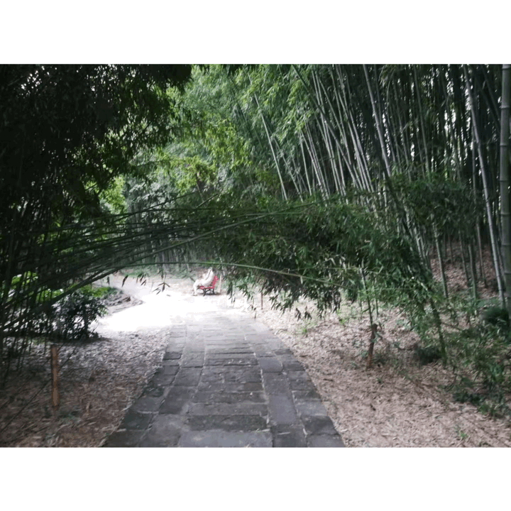 gif.GIF gif.GIF