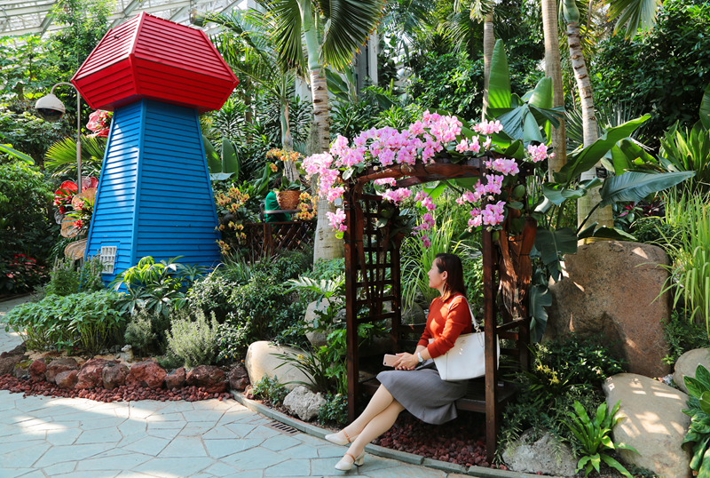 展览温室(一)景点 (1).jpg 展览温室(一)景点 (1).jpg