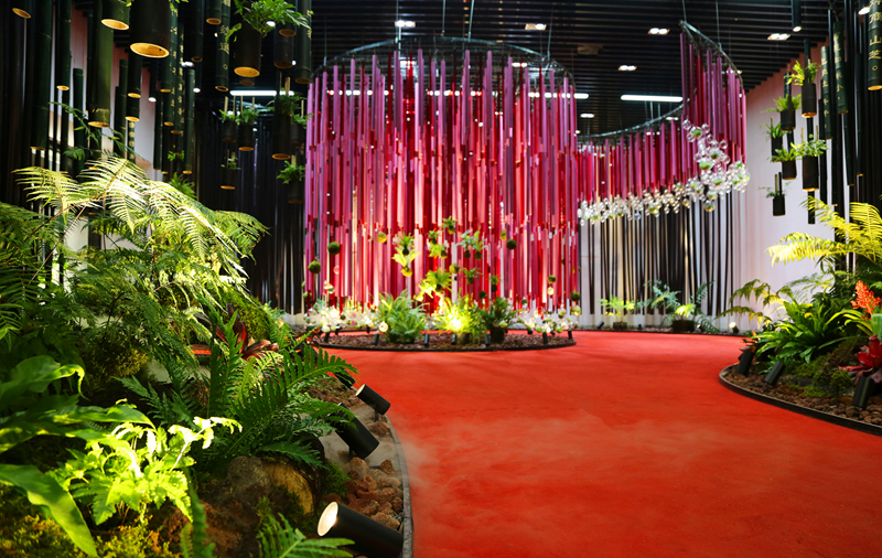阴生植物展 (3).jpg 阴生植物展 (3).jpg