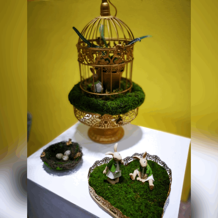 6-微景观动图.GIF 6-微景观动图.GIF