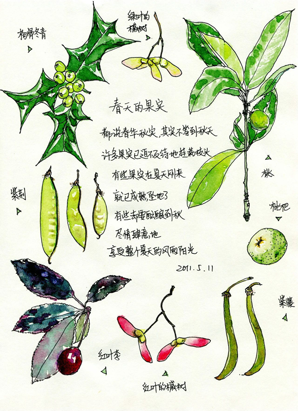 "我最喜爱的花展主题花自然笔记大赛"再一次与大家相约上海植物园,上