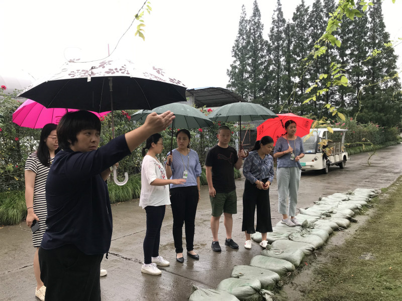 U:\信息报送\组织人事科\2020年\7月\切实抓好防台防汛 上海植物园开展实地调研监督\改\四号门积水点查看.jpg U:\信息报送\组织人事科\2020年\7月\切实抓好防台防汛 上海植物园开展实地调研监督\改\四号门积水点查看.jpg