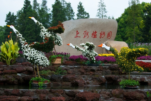 上海植物园