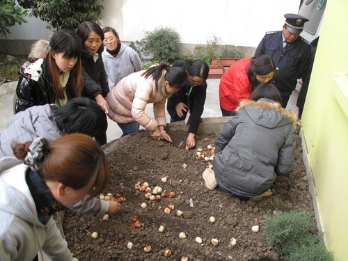 nEO_IMG_种植郁金香现场.jpg
