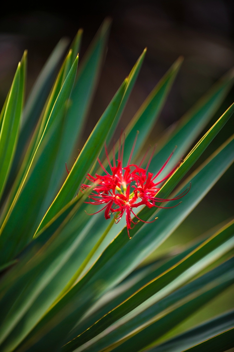 上海植物园 上海植物园