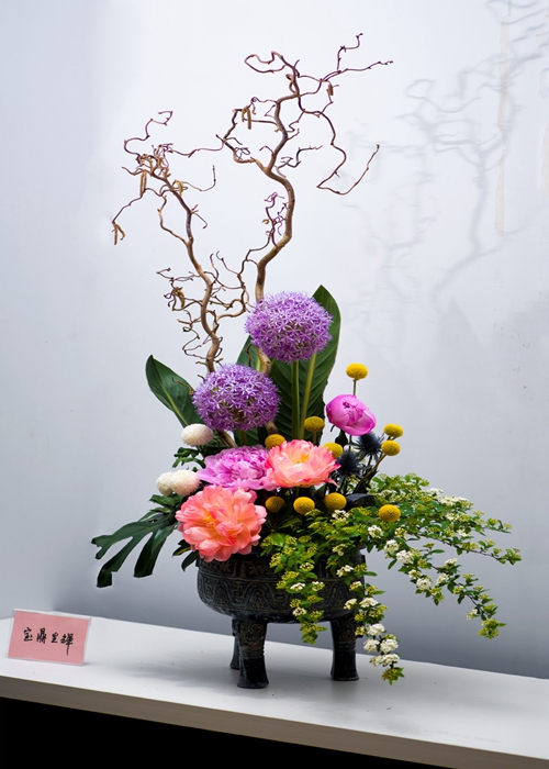 是葱,非葱——大花葱