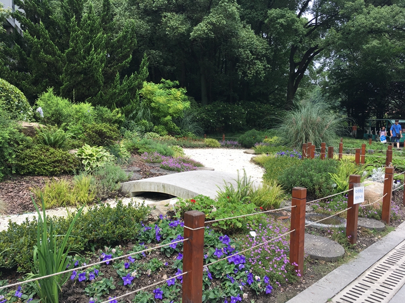 走进上海植物园里那些紫色的盛夏小花园