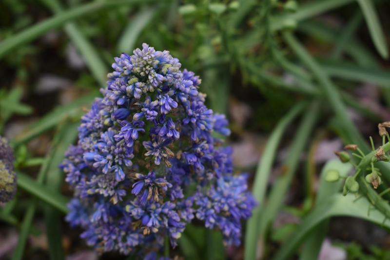 图六 花型筒状.jpg