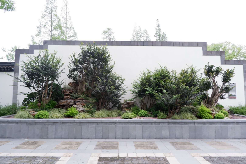 晓迎秋露一枝新,不占园中最上春.唐·杜牧