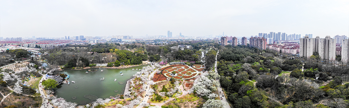 上海植物园蔷薇园航拍图.jpg
