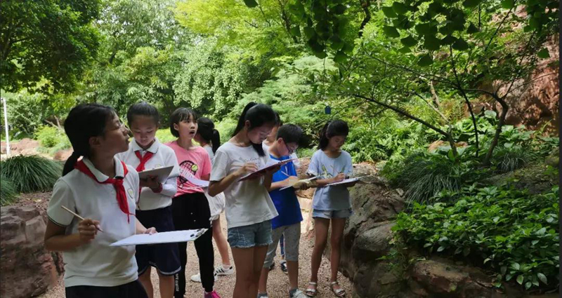 7 中草药寻宝比赛01.jpg 7 中草药寻宝比赛01.jpg