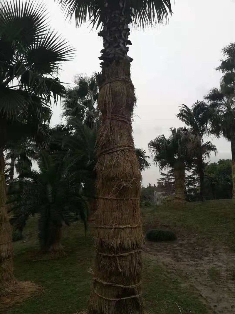 微信图片_201812100939368.jpg