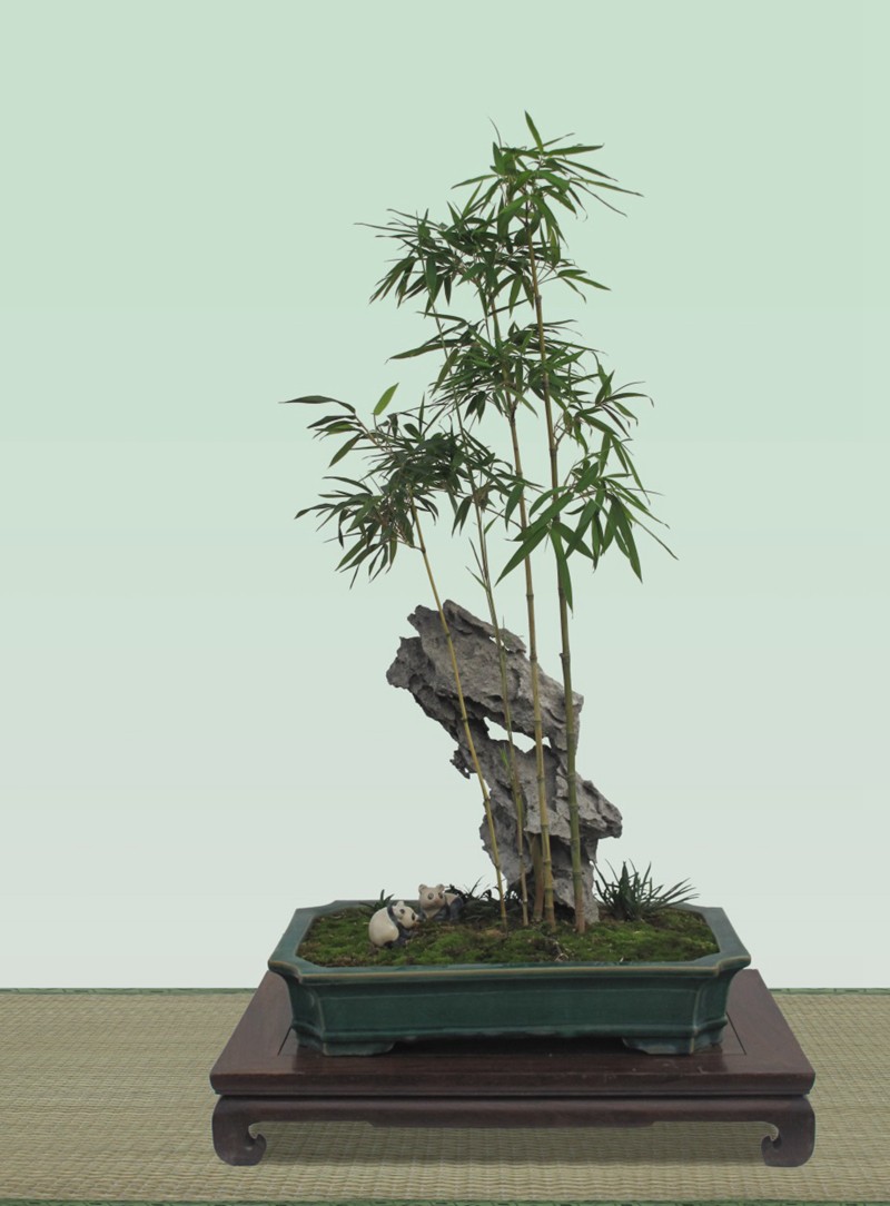 郑永泰-竹石图为记录这一中国盆景发展道路上浓墨重彩的一篇华章