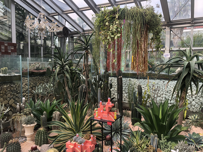 上海植物园