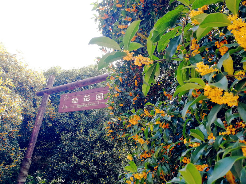 发布时间20190929浏览量1895字体大中小