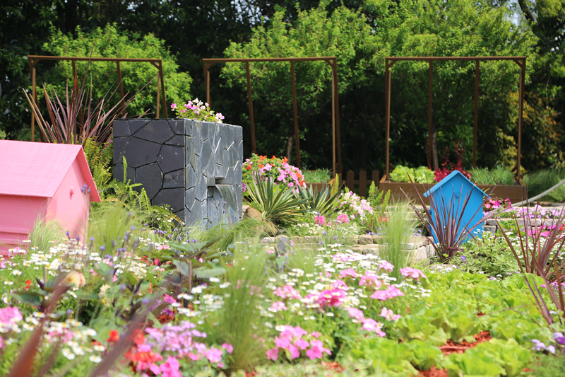 园艺科2020年4月共同战疫,云赏花展│中外庭院之当蔬菜遇上花园(一